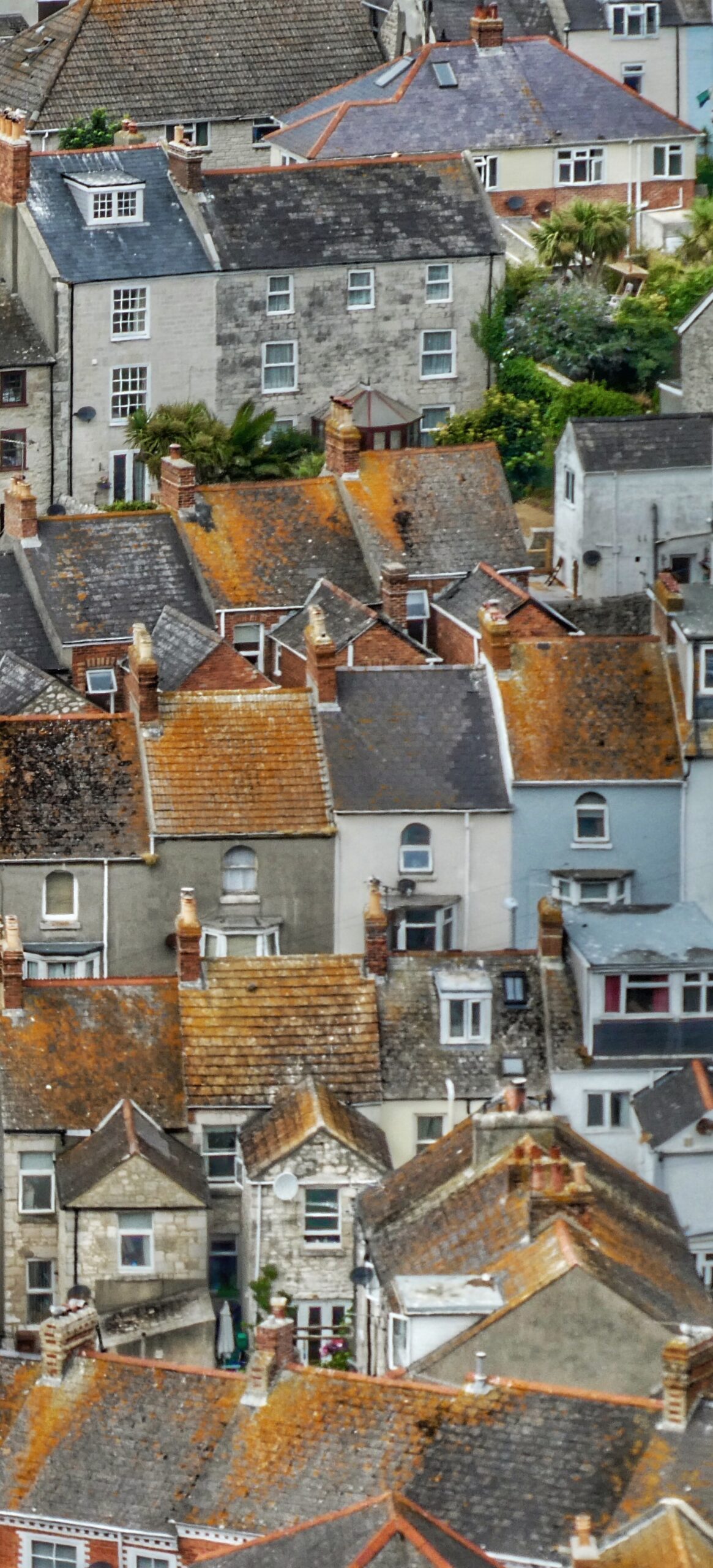 Industry Calls on Government to Do More to Prevent Homes from Falling into Fuel Poverty