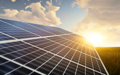 Our Call to Government: Extend the 0% VAT on Energy Saving Measures